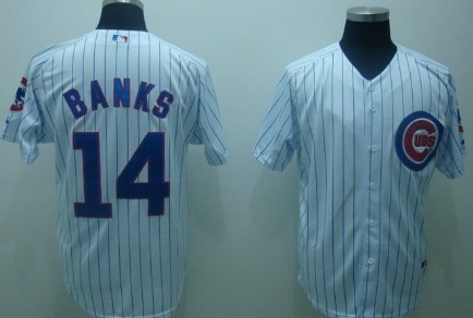 Chicago Cubs #14 Ernie Banks White Pinstripe Jersey