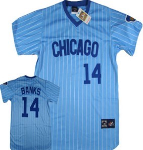 Chicago Cubs #14 Banks Blue Pinstripe Throwback Jersey