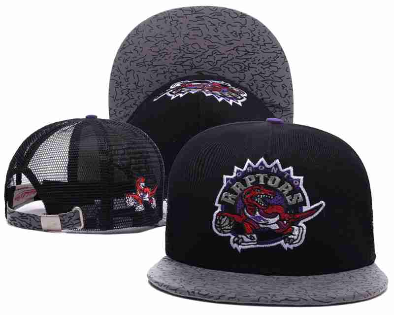 Toronto Raptors Mesh Snapback Hat Black-TX21